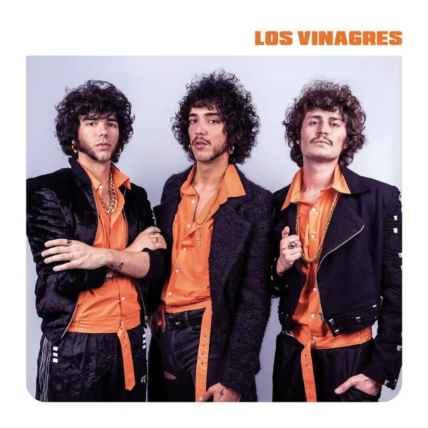 portada del primer album del grupo Los Vinagres "Los Volcanes"